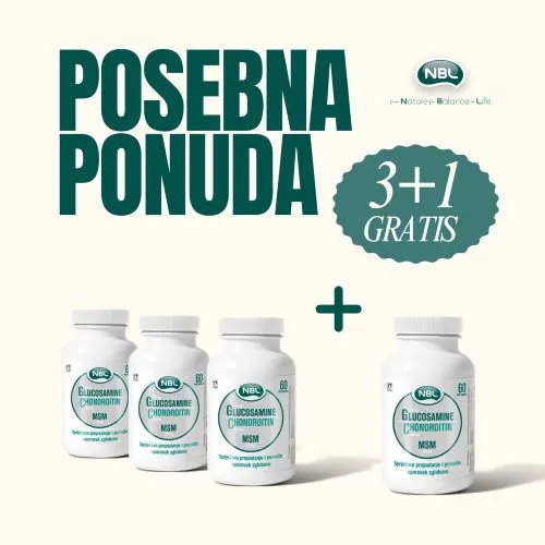 NBL Glucosamine Chondroitin MSM A60 3+1 GRATIS