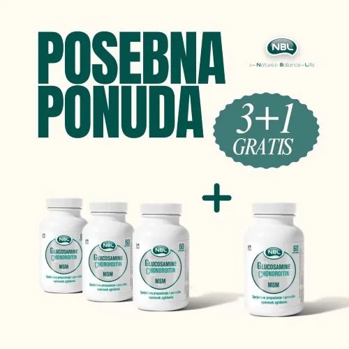 NBL Glucosamine Chondroitin MSM A60  3+1 GRATIS